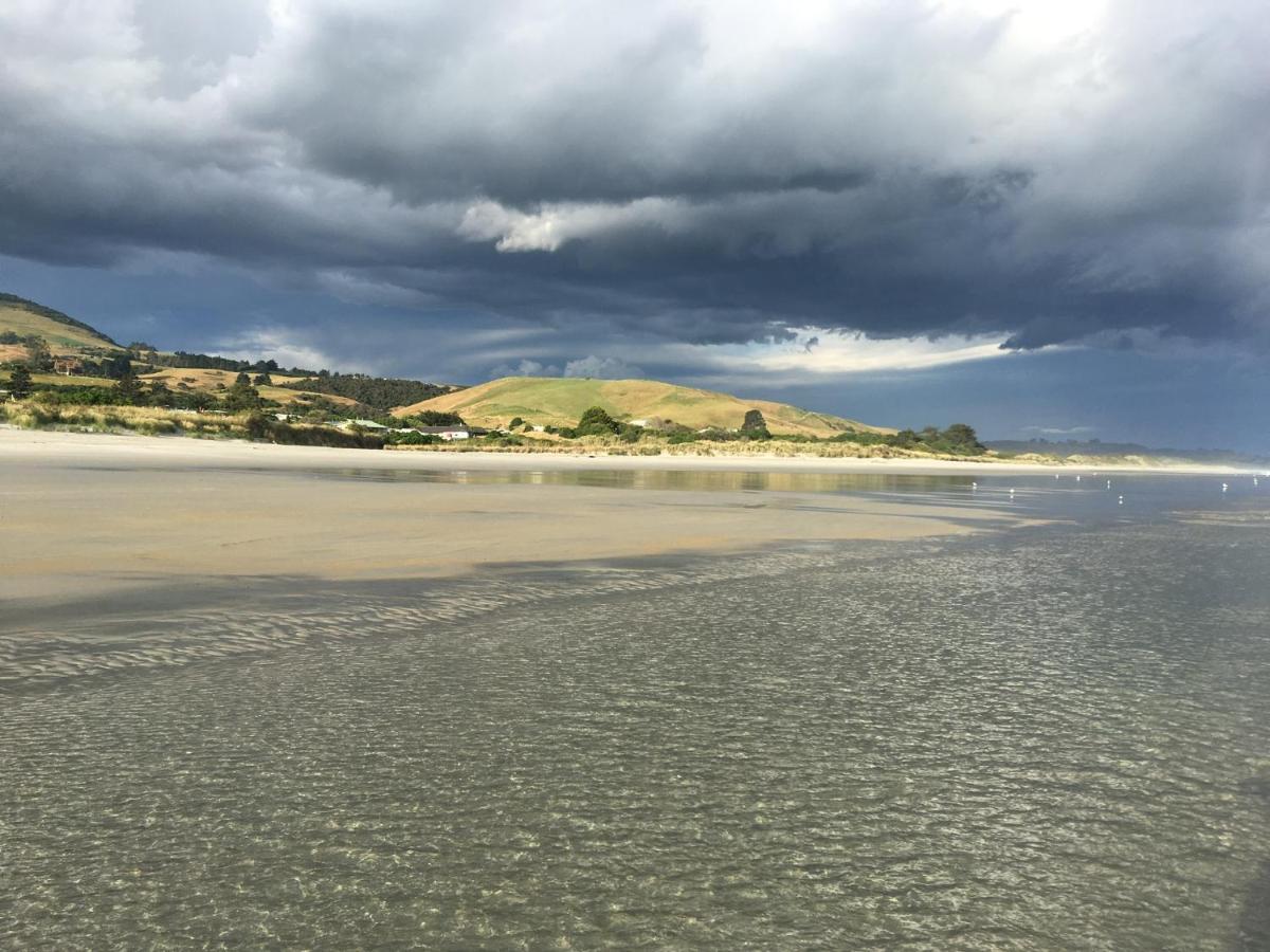 Stay In School By The Sea Dunedin Exteriér fotografie