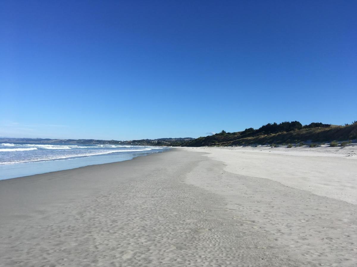 Stay In School By The Sea Dunedin Exteriér fotografie